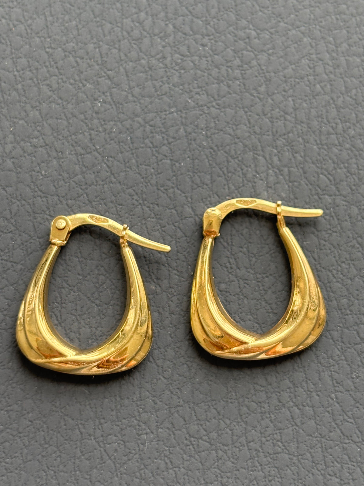9k Gold Loop Earrings