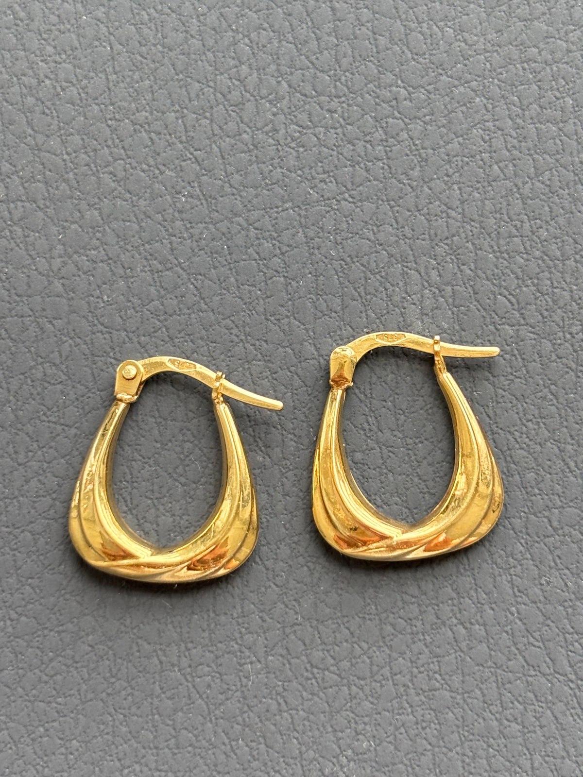 9k Gold Loop Earrings
