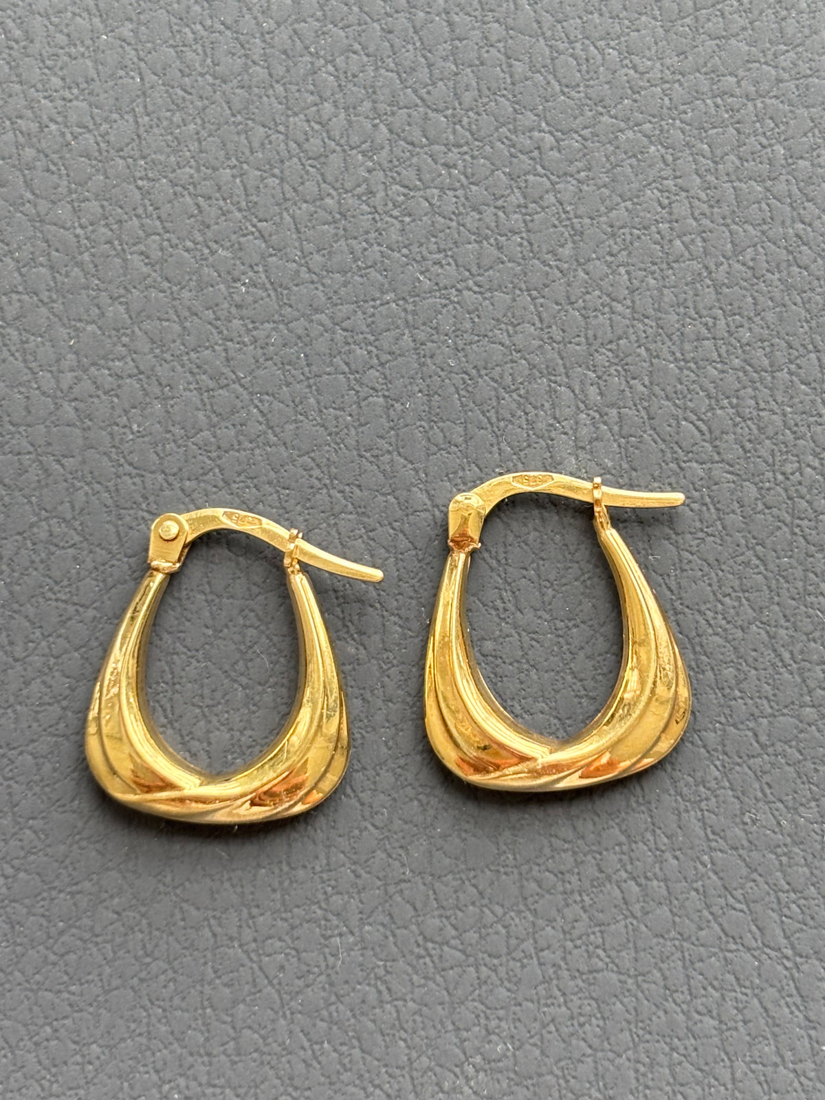 9k Gold Loop Earrings