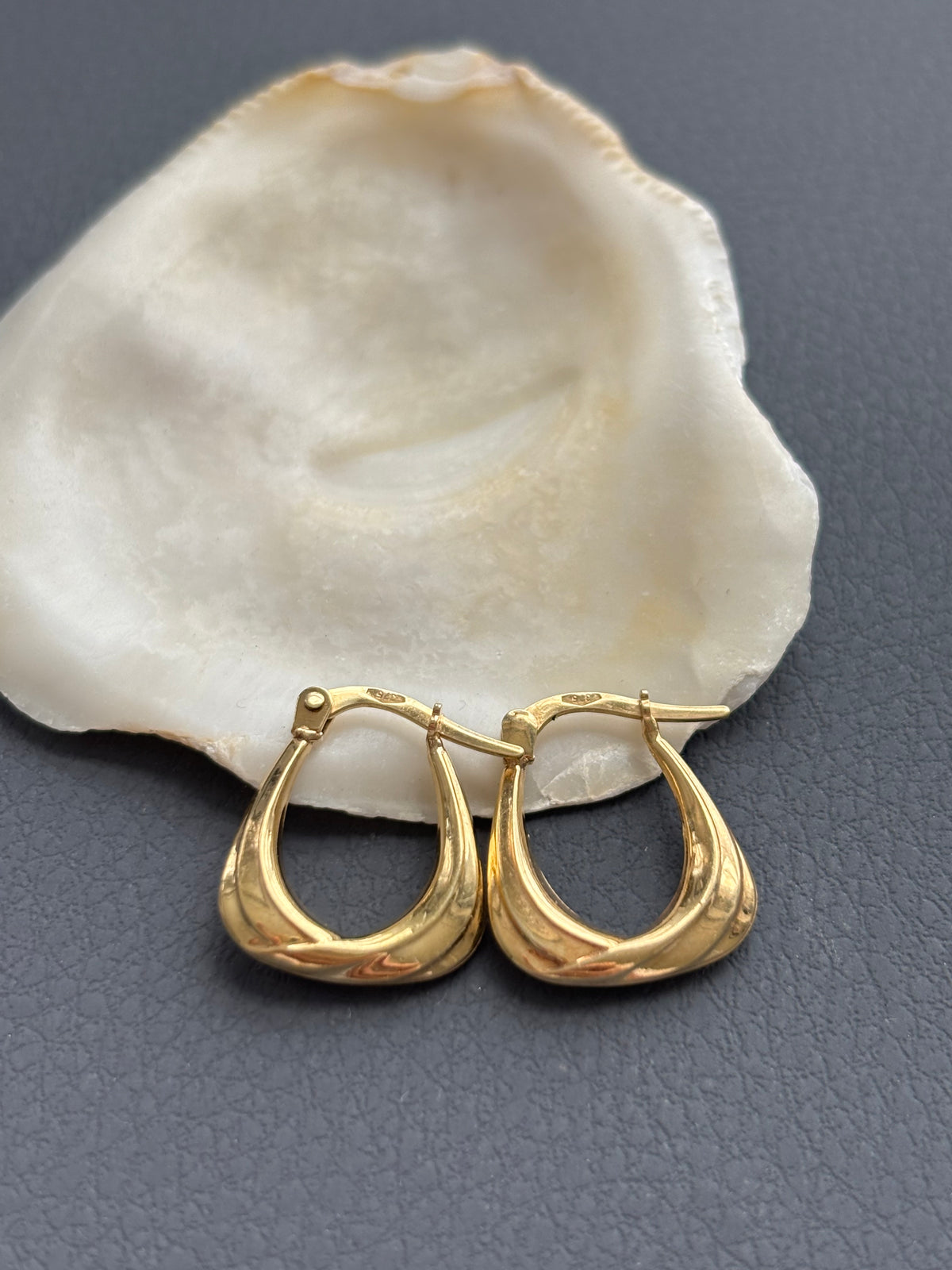 9k Gold Loop Earrings