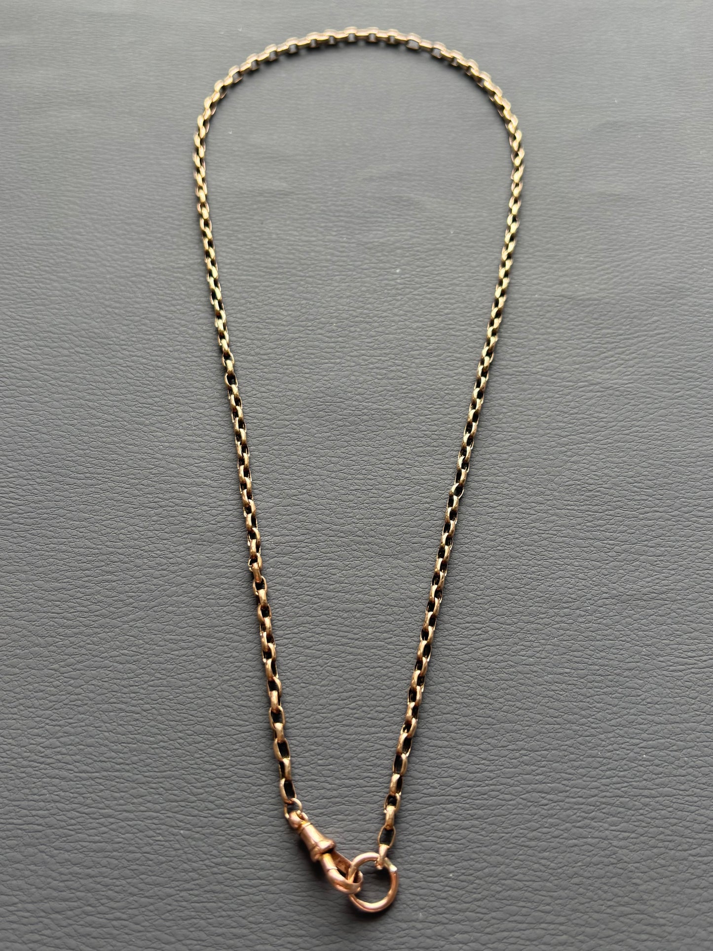 9k Gold Guard Chain Necklace with Dog Clip