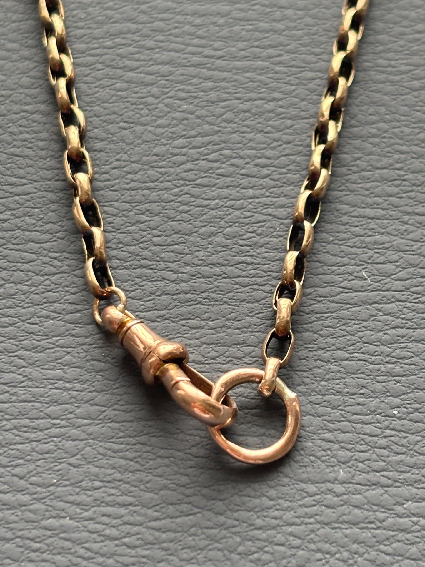 9k Gold Guard Chain Necklace with Dog Clip