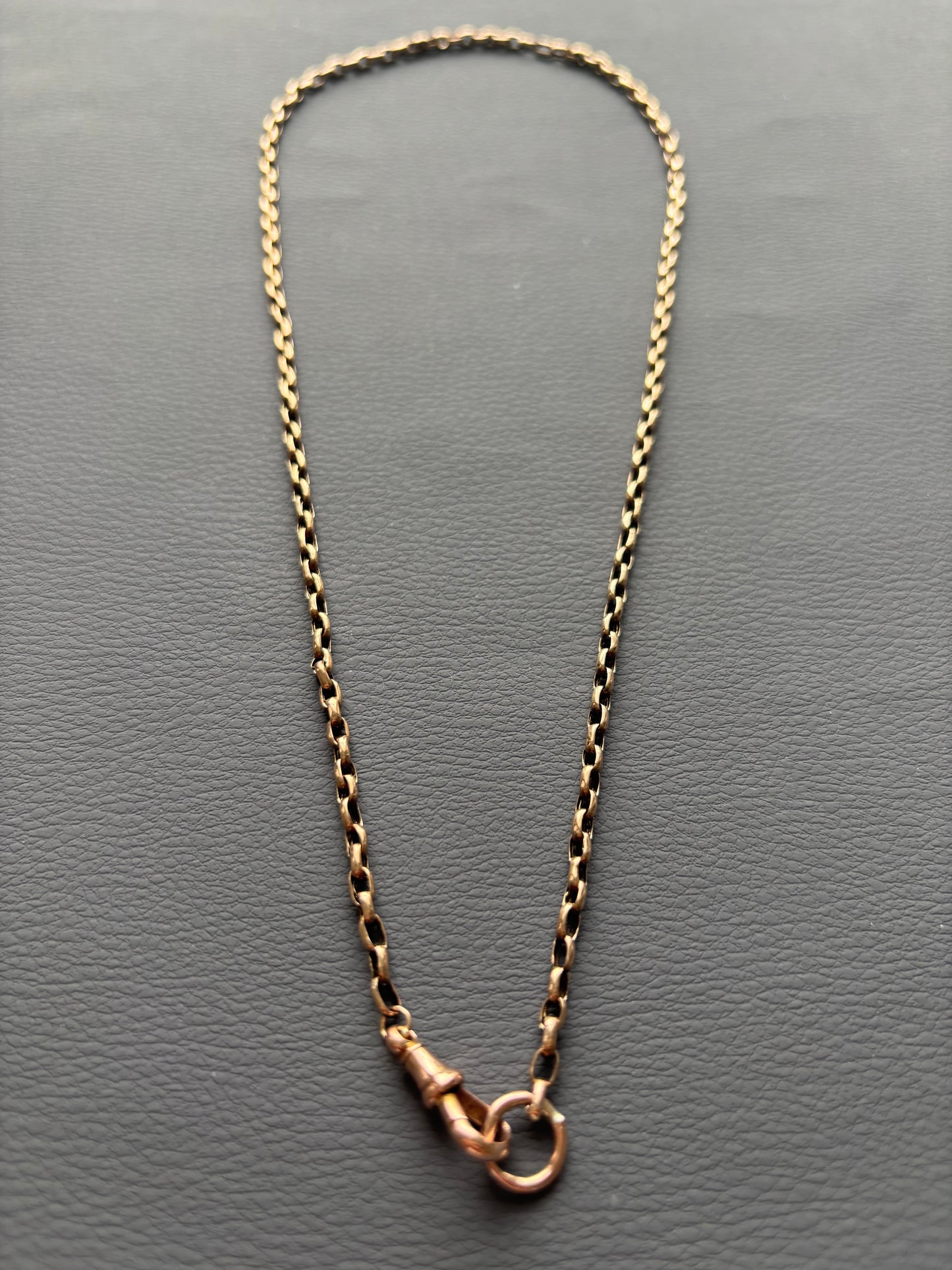 9k Gold Guard Chain Necklace with Dog Clip