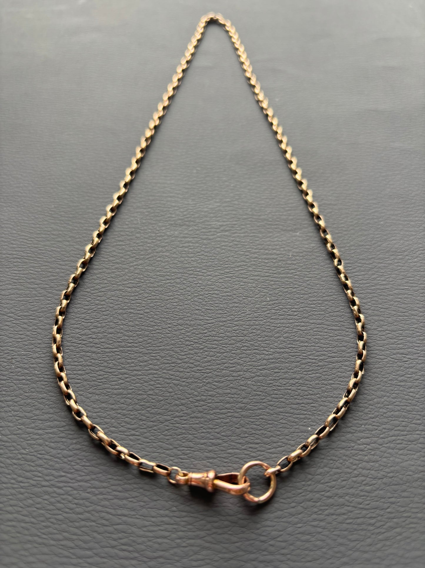 9k Gold Guard Chain Necklace with Dog Clip