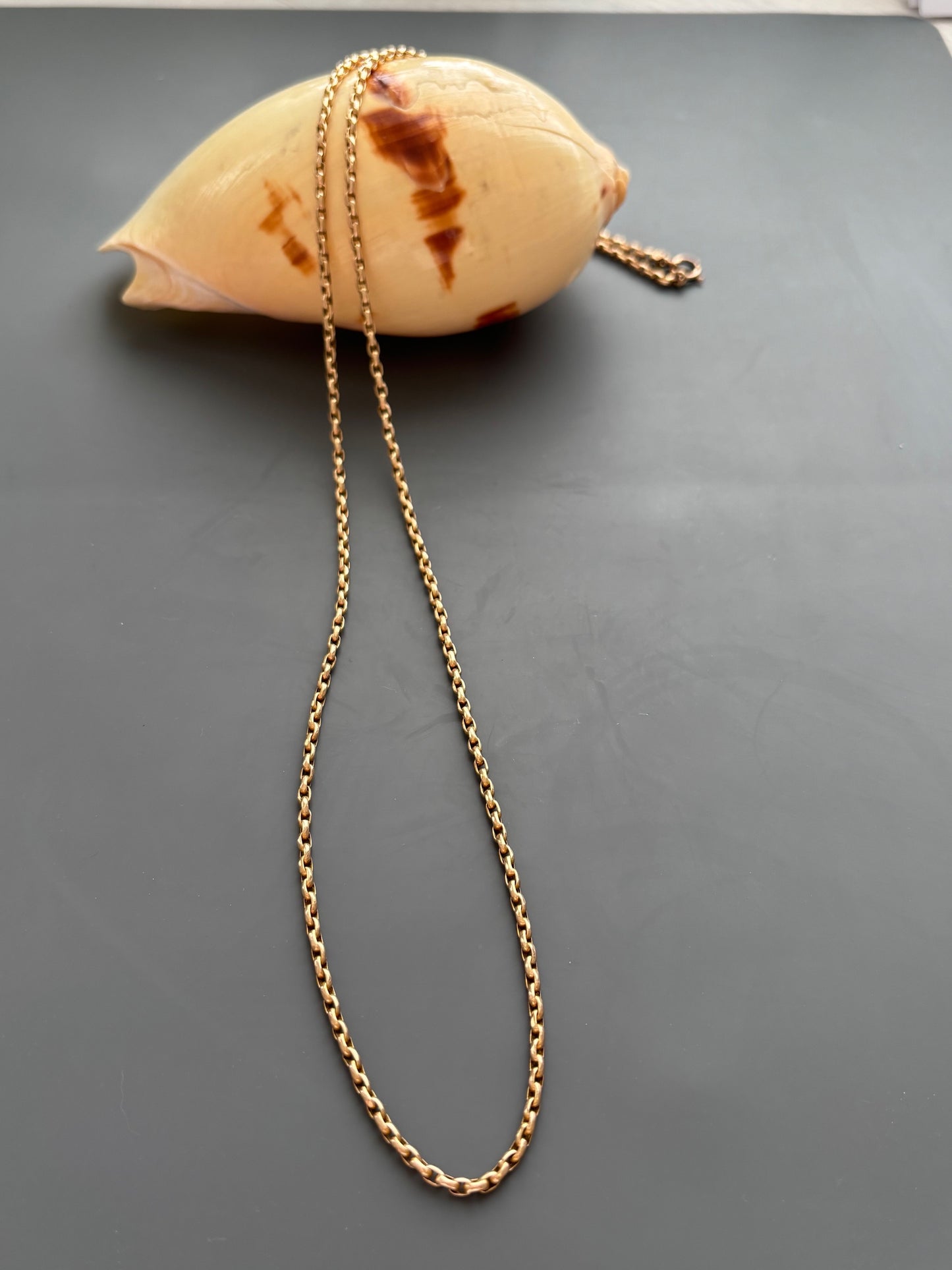 Antique 15k Gold Guard Chain Necklace